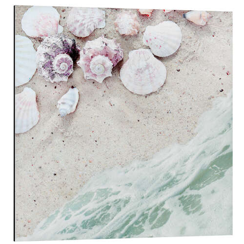 Aluminium print Sea shells on sand