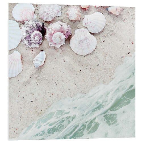 Foam board print Sea shells on sand