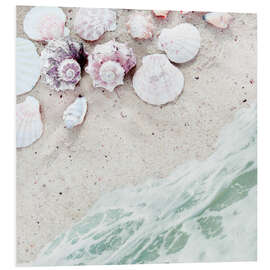 Foam board print Sea shells on sand