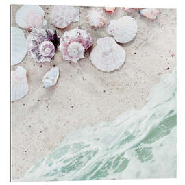 Gallery print Sea shells on sand