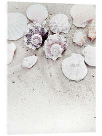 Acrylic print Shells on the sand II