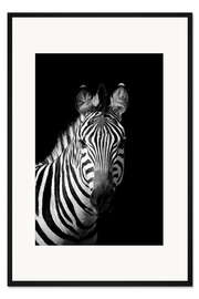 Gerahmter Kunstdruck Porträt eines Zebras