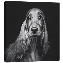 Canvas print Portrait of a Spaniel II