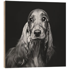 Wood print Portrait of a Spaniel II