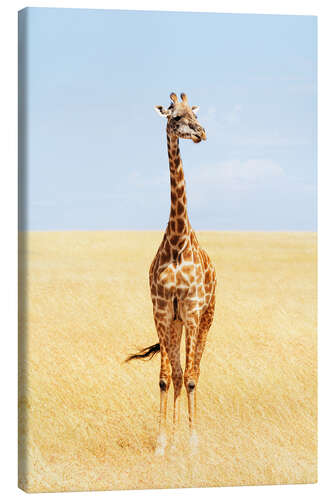 Canvas-taulu Lonely giraffe