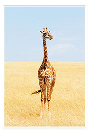 Poster Einsame Giraffe