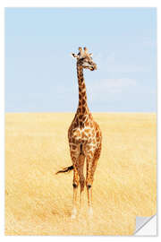 Selvklebende plakat Lonely giraffe