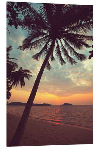 Acrylic print Tropical beach