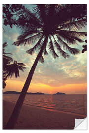 Wall sticker Tropical beach