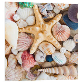 PVC-tavla Mussel still life with starfish