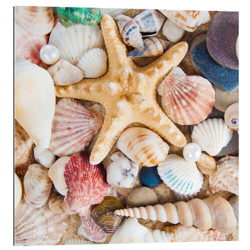 Galleritryk Mussel still life with starfish