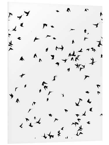 Foam board print A wild flock of birds