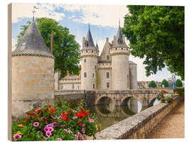 Holzbild Sully-s-Loire, Frankreich