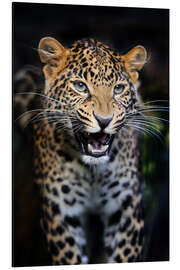 Magnettafel Gefährliches Gebiss