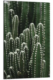 Magnettafel Gruppe von grünem Kaktus