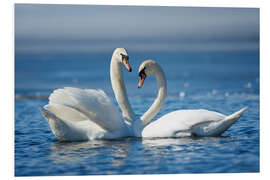 Foam board print Romantic two swans