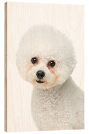 Stampa su legno Ritratto di un Bichon Frisé