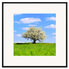 Framed art print Blossoming tree in spring