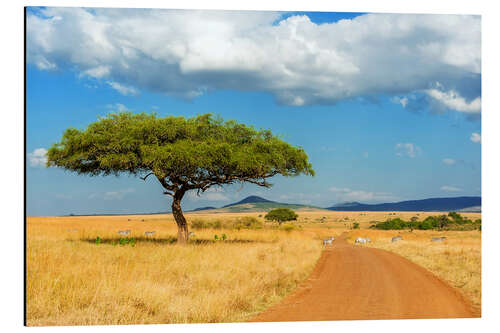 Obraz na aluminium A lonely tree in Africa