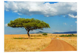 Foam board print A lonely tree in Africa