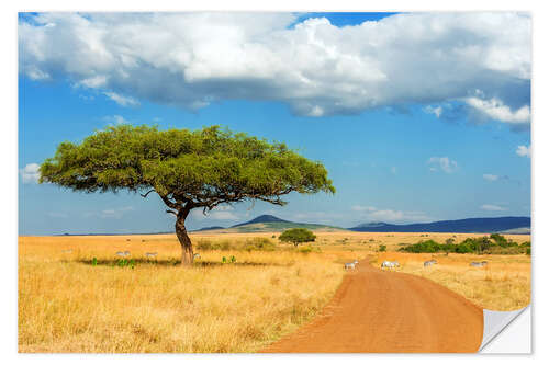 Selvklebende plakat A lonely tree in Africa