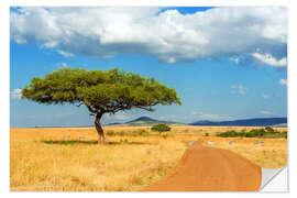 Naklejka na ścianę A lonely tree in Africa