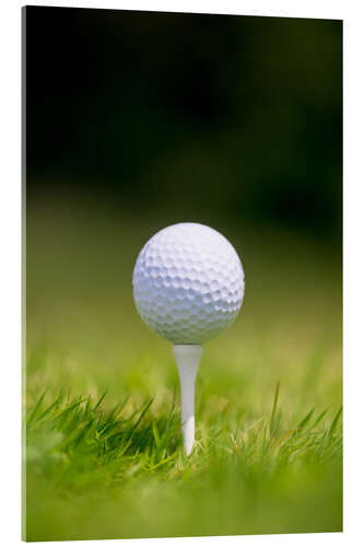 Acrylic print Golf Ball On Tee