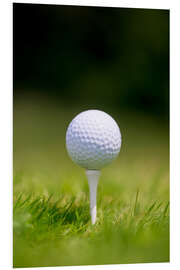 Stampa su PVC Pallina da golf sul tee