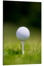 Magnettafel Golfball auf T-Stück