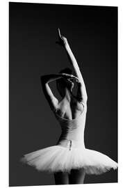 Foam board print Beautiful pose of a ballerina