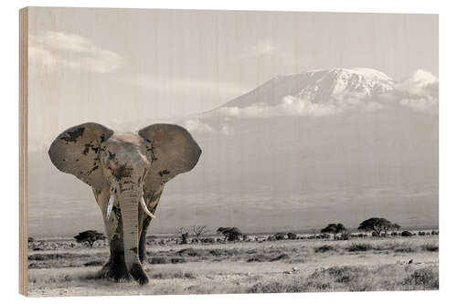 Cuadro de madera Un elefante frente al Kilimanjaro.