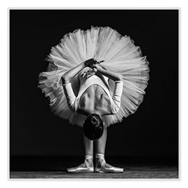 Poster Young Dancer