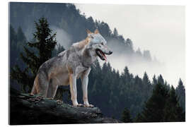 Tableau en verre acrylique Loup gris