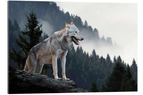 Galleriataulu Grey Wolf 