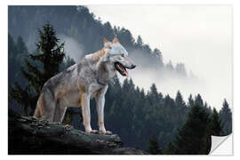 Wandsticker Grauer Wolf