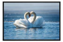 Gerahmter Kunstdruck Romantisches Paar Schwäne