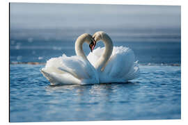 Magnettafel Romantisches Paar Schwäne