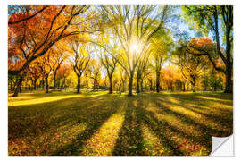 Naklejka na ścianę Colorful autumn forest in sunlight