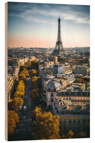 Trebilde Eiffel Tower, Paris, France