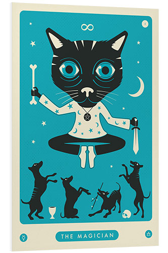 Foam board print THE MAGICIAN TAROT CARD CAT