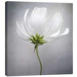 Canvas print Cosmos II