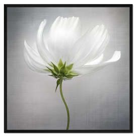 Gerahmter Kunstdruck Kosmos II