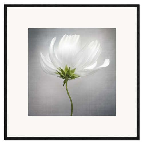 Framed art print Cosmos II