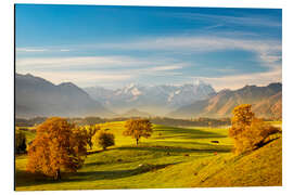 Alubild Bayerischer Herbst und Zugspitze - Murnauer Moos