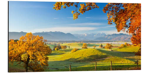 Aluminium print Murnauer Moos with Zugspitze in the Background