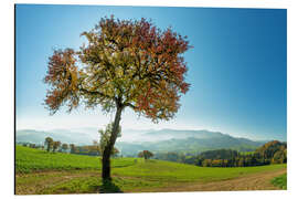 Alubild Herbstleuchten