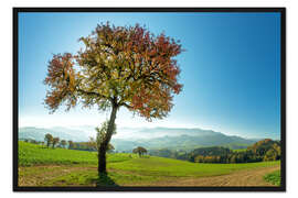 Gerahmter Kunstdruck Herbstleuchten
