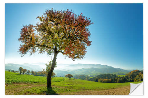 Wandsticker Herbstleuchten