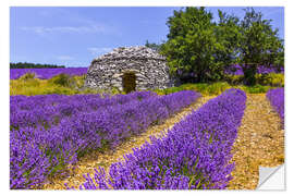 Autocolante decorativo Stone hut in the lavender field