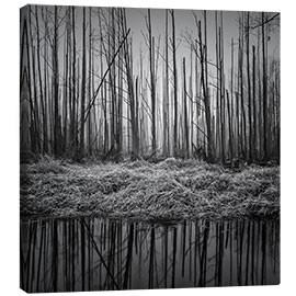 Canvas print Gloomy forest